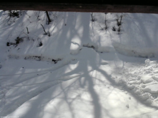 長野県菅平高原 ゆたか山荘 東側(坂下) 2026/02/24 12:00