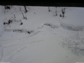 長野県菅平高原 ゆたか山荘 東側(坂下) 2026/02/24 14:45