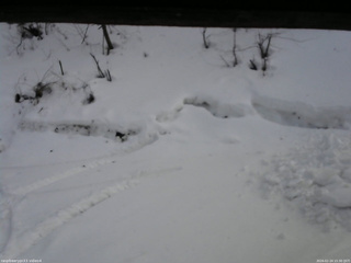 長野県菅平高原 ゆたか山荘 東側(坂下) 2026/02/24 15:30