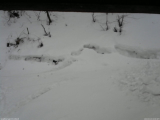 長野県菅平高原 ゆたか山荘 東側(坂下) 2026/02/24 16:00