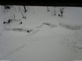 長野県菅平高原 ゆたか山荘 東側(坂下) 2026/02/24 16:45