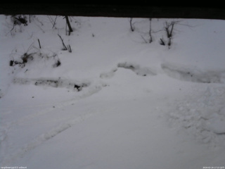 長野県菅平高原 ゆたか山荘 東側(坂下) 2026/02/24 17:15