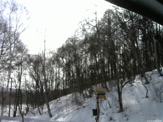 長野県菅平高原 ゆたか山荘 温度計 2026/02/24 09:30