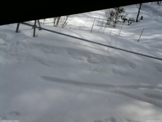 長野県菅平高原 ゆたか山荘 駐車場 2026/02/24 11:00