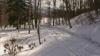 長野県菅平高原 ゆたか山荘 駐車場奥 2026/02/24 09:45