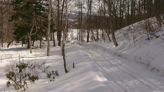 長野県菅平高原 ゆたか山荘 駐車場奥 2026/02/24 11:15