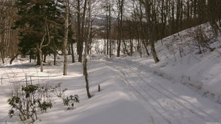 長野県菅平高原 ゆたか山荘 駐車場奥 2026/02/24 11:30