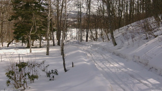 長野県菅平高原 ゆたか山荘 駐車場奥 2026/02/24 12:15