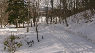 長野県菅平高原 ゆたか山荘 駐車場奥 2026/02/24 12:30