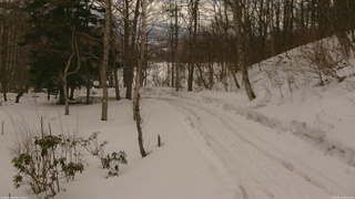 長野県菅平高原 ゆたか山荘 駐車場奥 2026/02/24 16:15