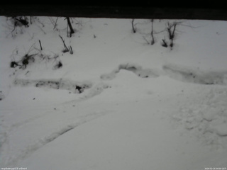 長野県菅平高原 ゆたか山荘 東側(坂下) 2026/02/25 08:00