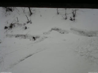 長野県菅平高原 ゆたか山荘 東側(坂下) 2026/02/25 14:00