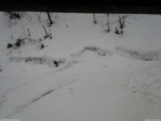 長野県菅平高原 ゆたか山荘 東側(坂下) 2026/02/25 14:15