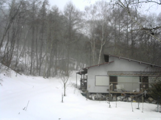長野県菅平高原 ゆたか山荘 西側(坂上) 2026/02/25 09:45