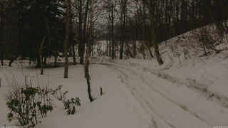 長野県菅平高原 ゆたか山荘 駐車場奥 2026/02/25 08:00