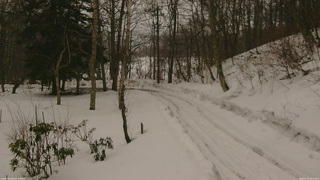 長野県菅平高原 ゆたか山荘 駐車場奥 2026/02/25 08:30