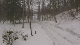 長野県菅平高原 ゆたか山荘 駐車場奥 2026/02/25 13:30