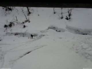長野県菅平高原 ゆたか山荘 東側(坂下) 2026/02/26 11:15