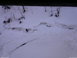 長野県菅平高原 ゆたか山荘 東側(坂下) 2026/02/26 15:45