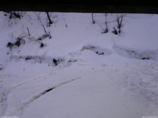 長野県菅平高原 ゆたか山荘 東側(坂下) 2026/02/26 16:15