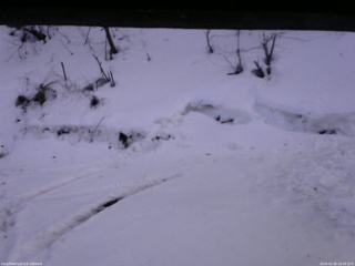 長野県菅平高原 ゆたか山荘 東側(坂下) 2026/02/26 16:30