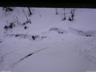 長野県菅平高原 ゆたか山荘 東側(坂下) 2026/02/26 17:00