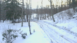 長野県菅平高原 ゆたか山荘 駐車場奥 2026/02/26 06:15