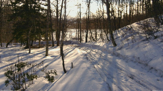 長野県菅平高原 ゆたか山荘 駐車場奥 2026/02/26 07:30
