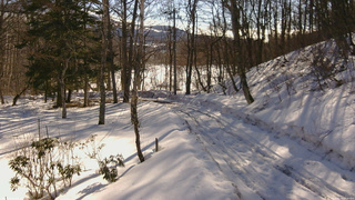 長野県菅平高原 ゆたか山荘 駐車場奥 2026/02/26 08:45