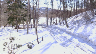 長野県菅平高原 ゆたか山荘 駐車場奥 2026/02/26 09:00