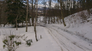 長野県菅平高原 ゆたか山荘 駐車場奥 2026/02/26 11:15