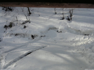 長野県菅平高原 ゆたか山荘 東側(坂下) 2026/02/27 08:15