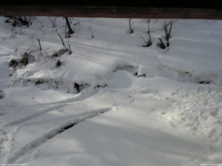 長野県菅平高原 ゆたか山荘 東側(坂下) 2026/02/27 08:30