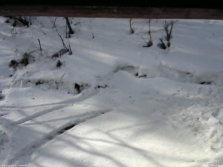 長野県菅平高原 ゆたか山荘 東側(坂下) 2026/02/27 08:45