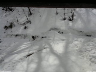 長野県菅平高原 ゆたか山荘 東側(坂下) 2026/02/27 12:15