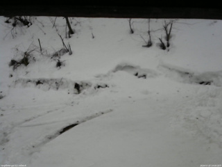 長野県菅平高原 ゆたか山荘 東側(坂下) 2026/02/27 14:00