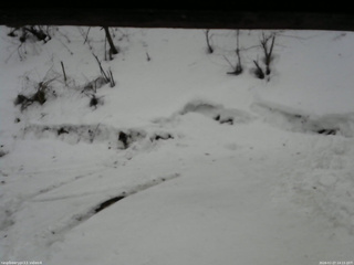 長野県菅平高原 ゆたか山荘 東側(坂下) 2026/02/27 14:15