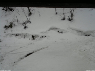 長野県菅平高原 ゆたか山荘 東側(坂下) 2026/02/27 15:45