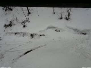 長野県菅平高原 ゆたか山荘 東側(坂下) 2026/02/27 16:15