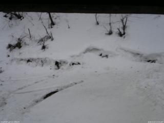 長野県菅平高原 ゆたか山荘 東側(坂下) 2026/02/27 17:15
