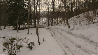 長野県菅平高原 ゆたか山荘 駐車場奥 2026/02/27 07:45