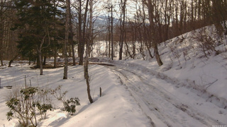 長野県菅平高原 ゆたか山荘 駐車場奥 2026/02/27 08:30