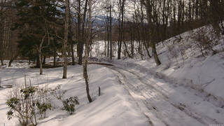 長野県菅平高原 ゆたか山荘 駐車場奥 2026/02/27 09:30