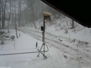 長野県菅平高原 ゆたか山荘 南側 2026/02/28 10:45