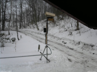 長野県菅平高原 ゆたか山荘 南側 2026/02/28 11:45