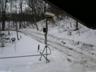 長野県菅平高原 ゆたか山荘 南側 2026/02/28 15:15