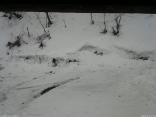 長野県菅平高原 ゆたか山荘 東側(坂下) 2026/02/28 08:00