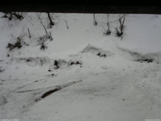 長野県菅平高原 ゆたか山荘 東側(坂下) 2026/02/28 12:00