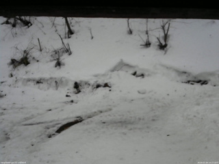 長野県菅平高原 ゆたか山荘 東側(坂下) 2026/02/28 14:15