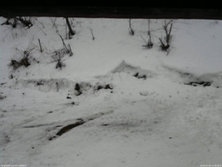 長野県菅平高原 ゆたか山荘 東側(坂下) 2026/02/28 15:30